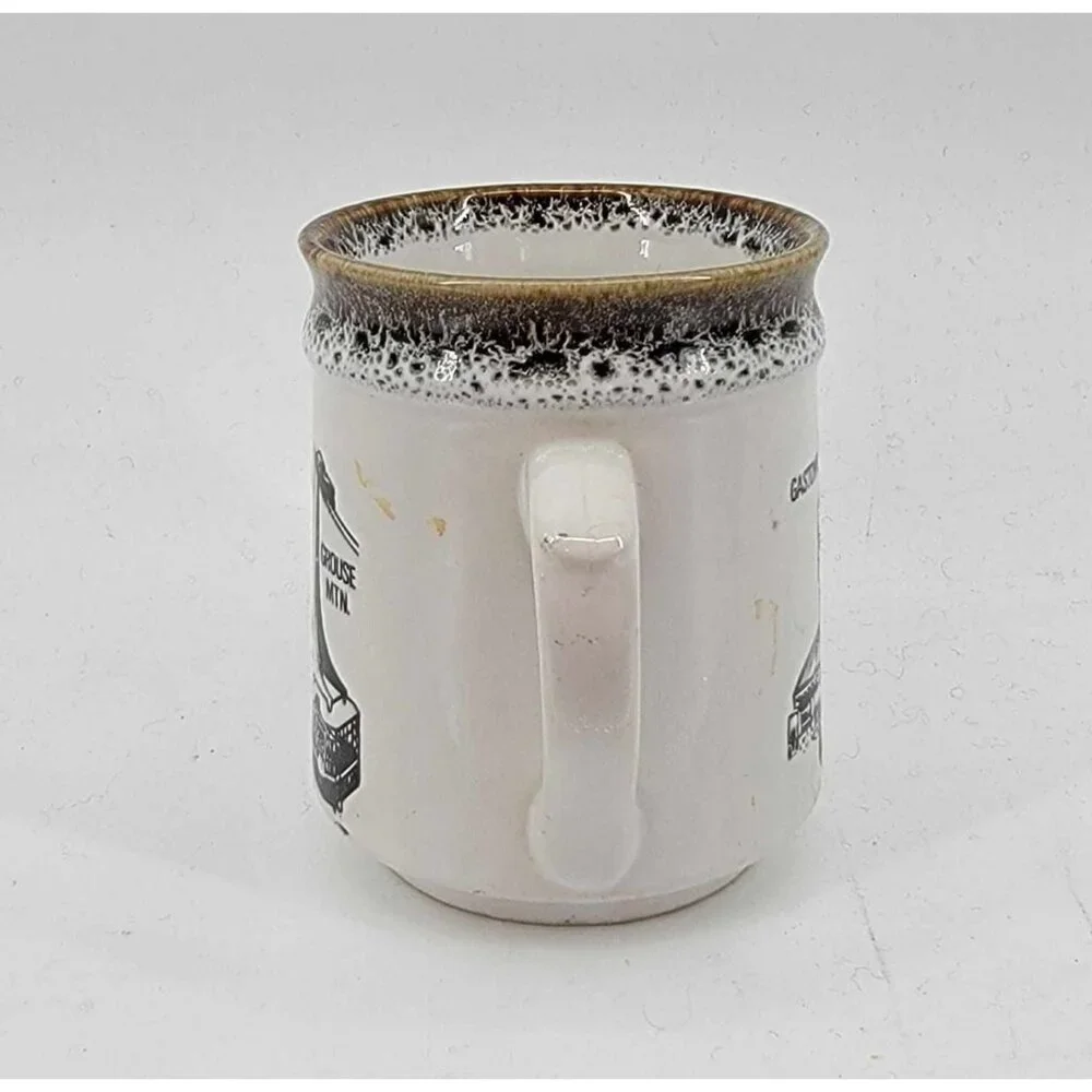 Vintage Vancouver British‎ Columbia Souvenir Mug